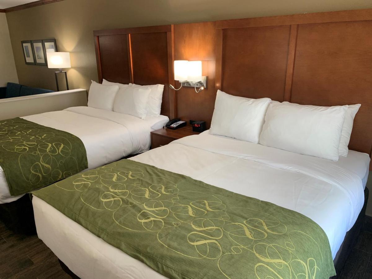 Comfort Suites West Monroe Near Ike Hamilton Expo Center מראה חיצוני תמונה